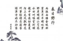 英雄联盟总决赛-丹麦逆袭之夜，贝林厄姆的魔幻时刻，2026世界杯B组写下最热血剧本