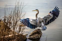 -绝境妖刀再出鞘！新疆莫兰特关键战从不手软