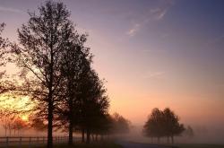 英雄联盟总决赛时间-解锁未知形态的乔治，成了篮球世界的魔法公式吗？尼克斯踏平鹈鹕背后，是一个无解的他