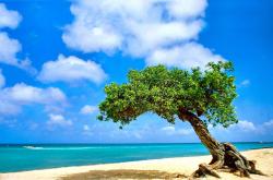 英雄联盟总决赛门票-热火单节风暴与利拉德生死接管，NBA关键时刻的巨星传奇