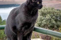 英雄联盟总决赛2025-当法兰西铁闸降临爱琴海，一场坎特式胜利如何为希腊注入钢铁灵魂