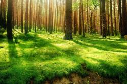 -足球外交，从首尔到约翰内斯堡，格列兹曼攻防统治破解两国心结