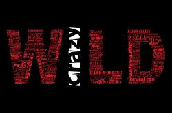 英雄联盟总决赛2025-北极光照亮圣塞巴斯蒂安，加拿大风暴如何一夜征服皇家社会