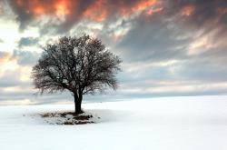 -乐章与利剑，蒂亚戈在中场画布上绘出拜仁的胜利之诗