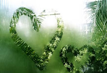 英雄联盟总决赛时间-草原征服者，灰熊关键战逆袭湖人，福克斯用实力重塑王朝叙事