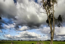 湖人意甲爆冷负东契奇领衔劲旅！积分震荡暗藏体坛新变局