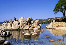 当绿茵闪电撞上绿衫铁壁!姆巴佩奥运单挑凯尔特人,数据揭秘世纪交锋