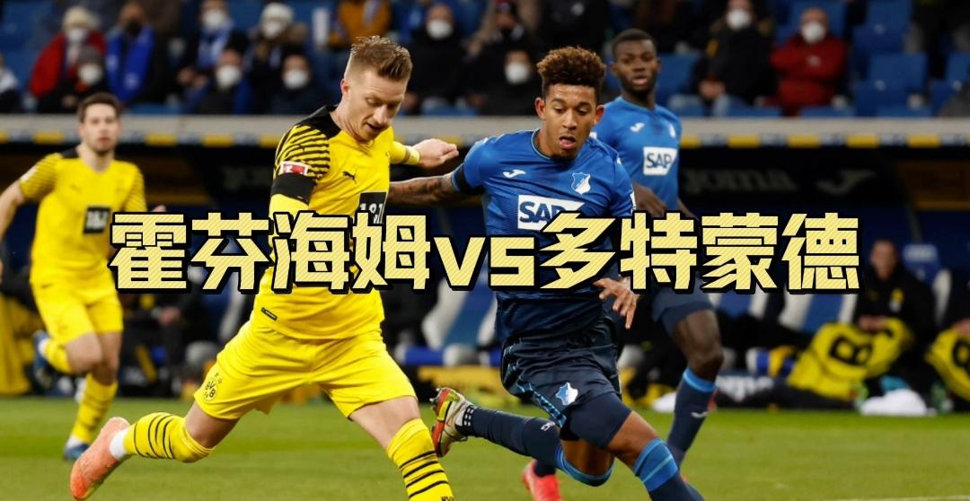 霍芬海姆攻防都有亮点，占据德甲第三位置的简单介绍