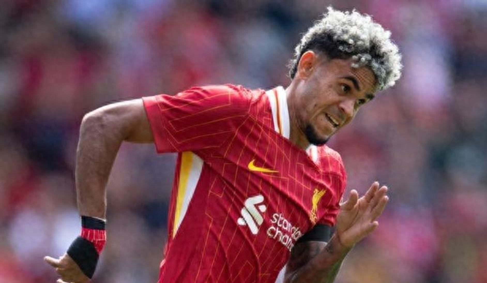 荷兰险胜利物浦，苏亚雷斯高光表现