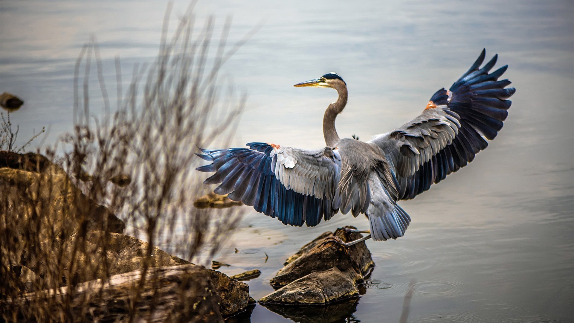 绝境妖刀再出鞘!新疆莫兰特关键战从不手软