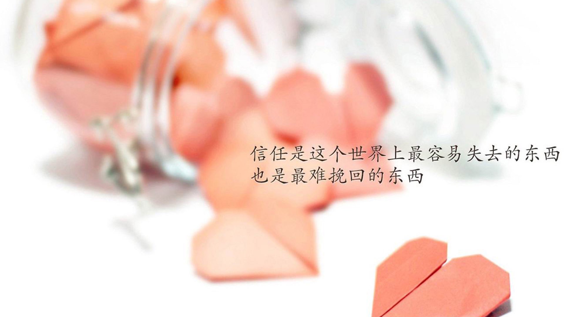 横跨半球的谜题,当国王队遇上新疆队,武切维奇为何破解无门?