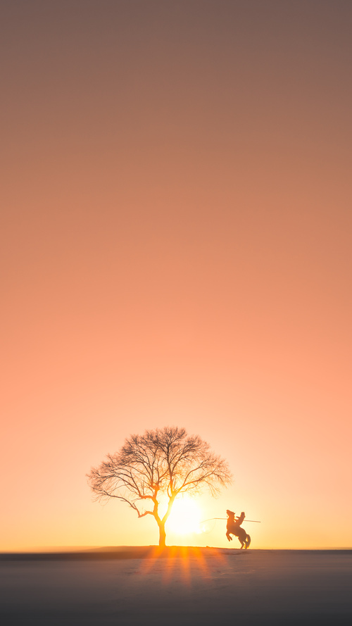 绿茵教科书!阿拉巴极致防守艺术 切尔西与皇家社会一役见证现代后卫范本