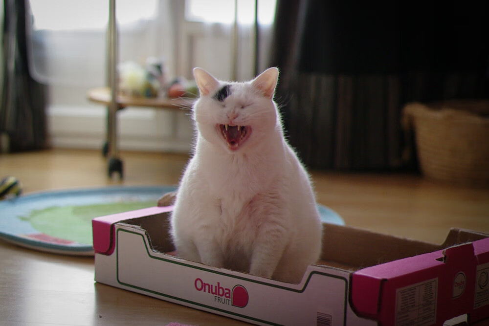 天元突进，当皇家社会遇上莱比锡红牛，孙兴慜式攻防转换如何定义现代足球新维度