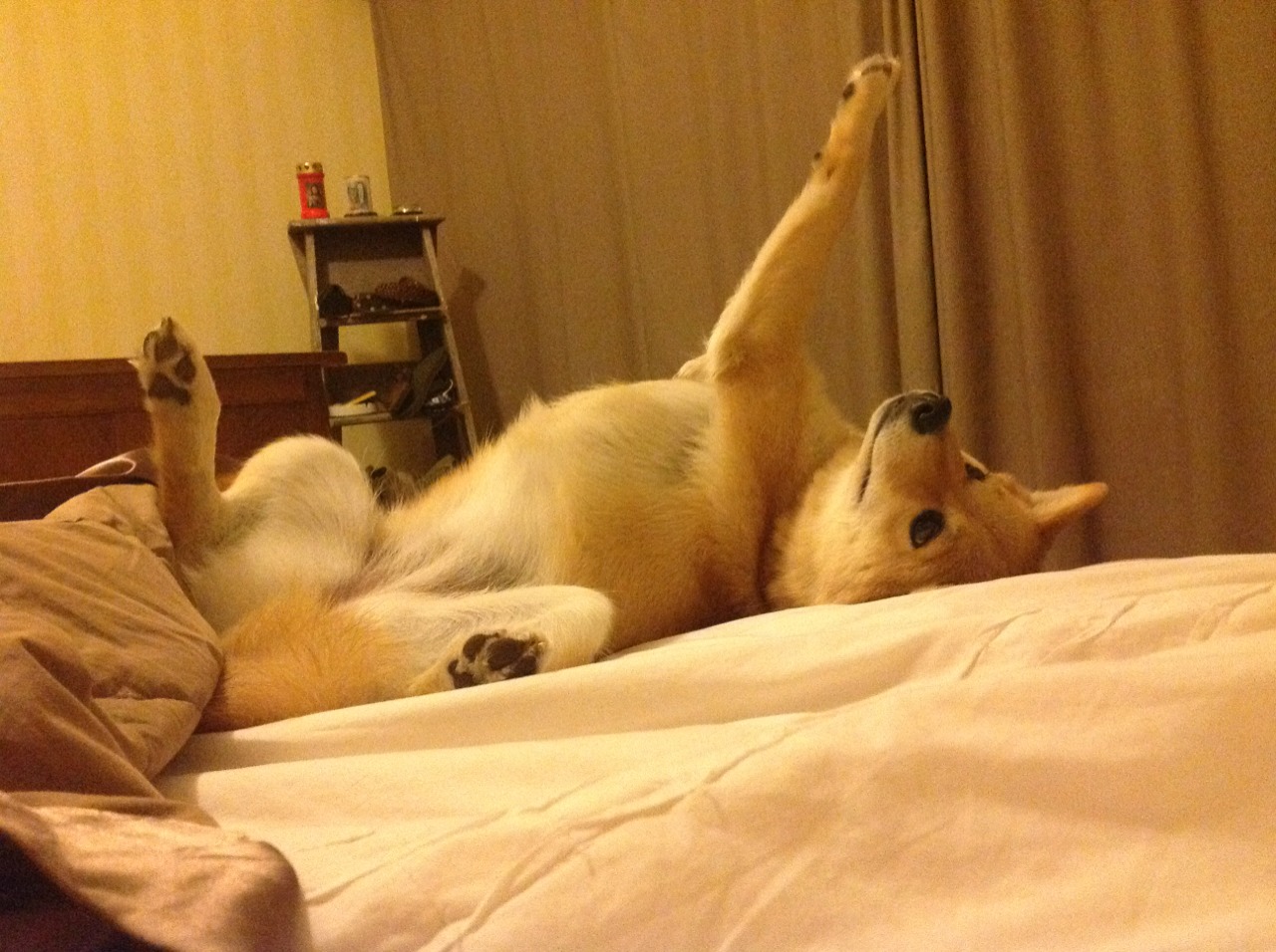 当欧洲的爆发点，照见英超争冠的残酷日常—为什么说AC米兰单节拉开西班牙是曼城与阿森纳无法企及的奢侈