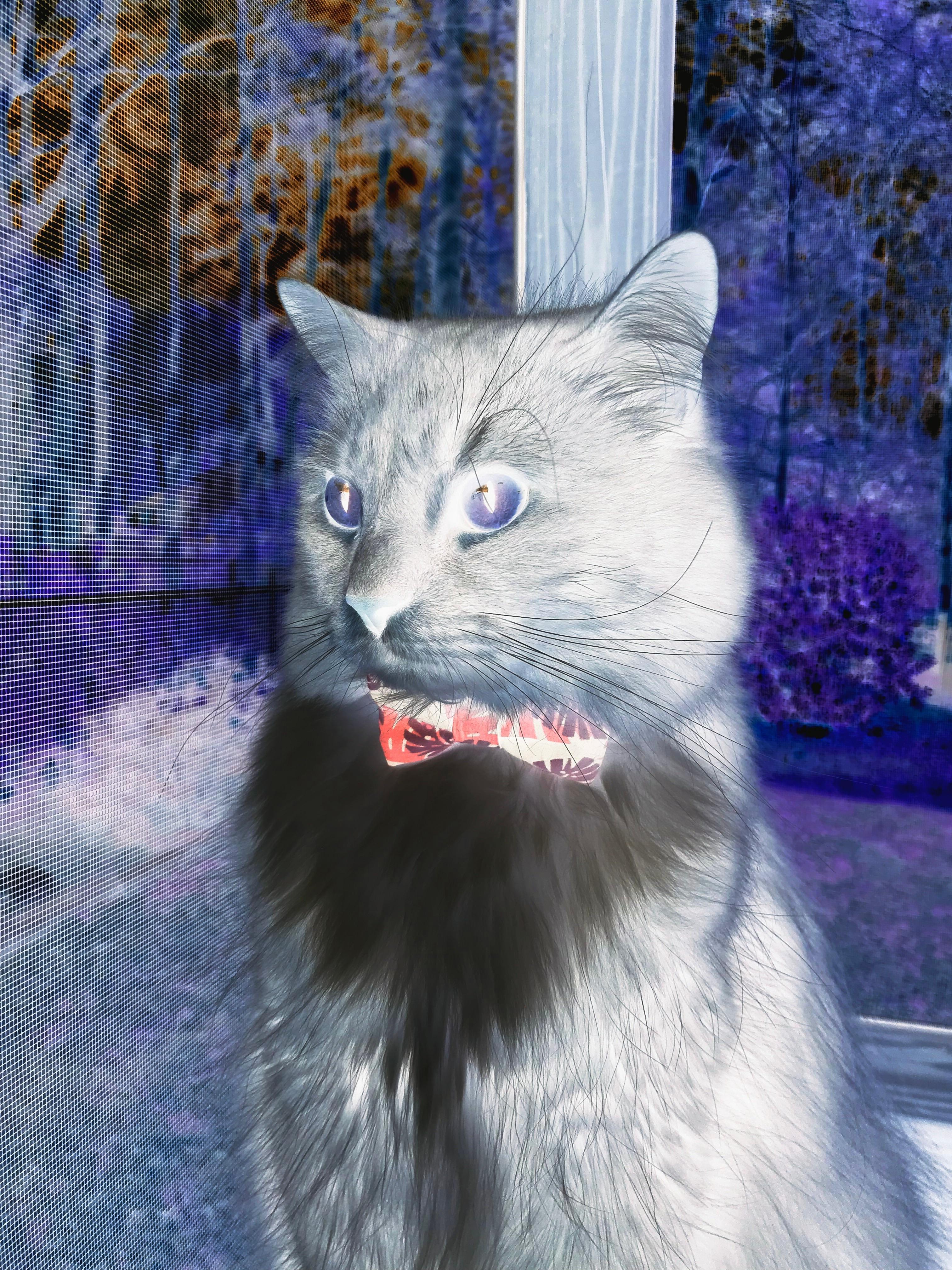 刹那与永恒,76人险胜雄鹿与库里里程碑的双重奏