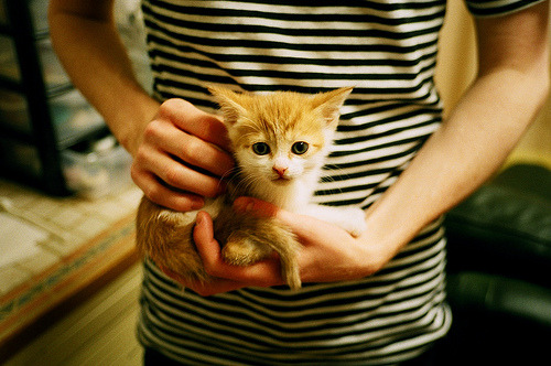 沉默者引爆的奇迹，当哥斯达黎加掀翻红魔，布雷默向东决亮剑