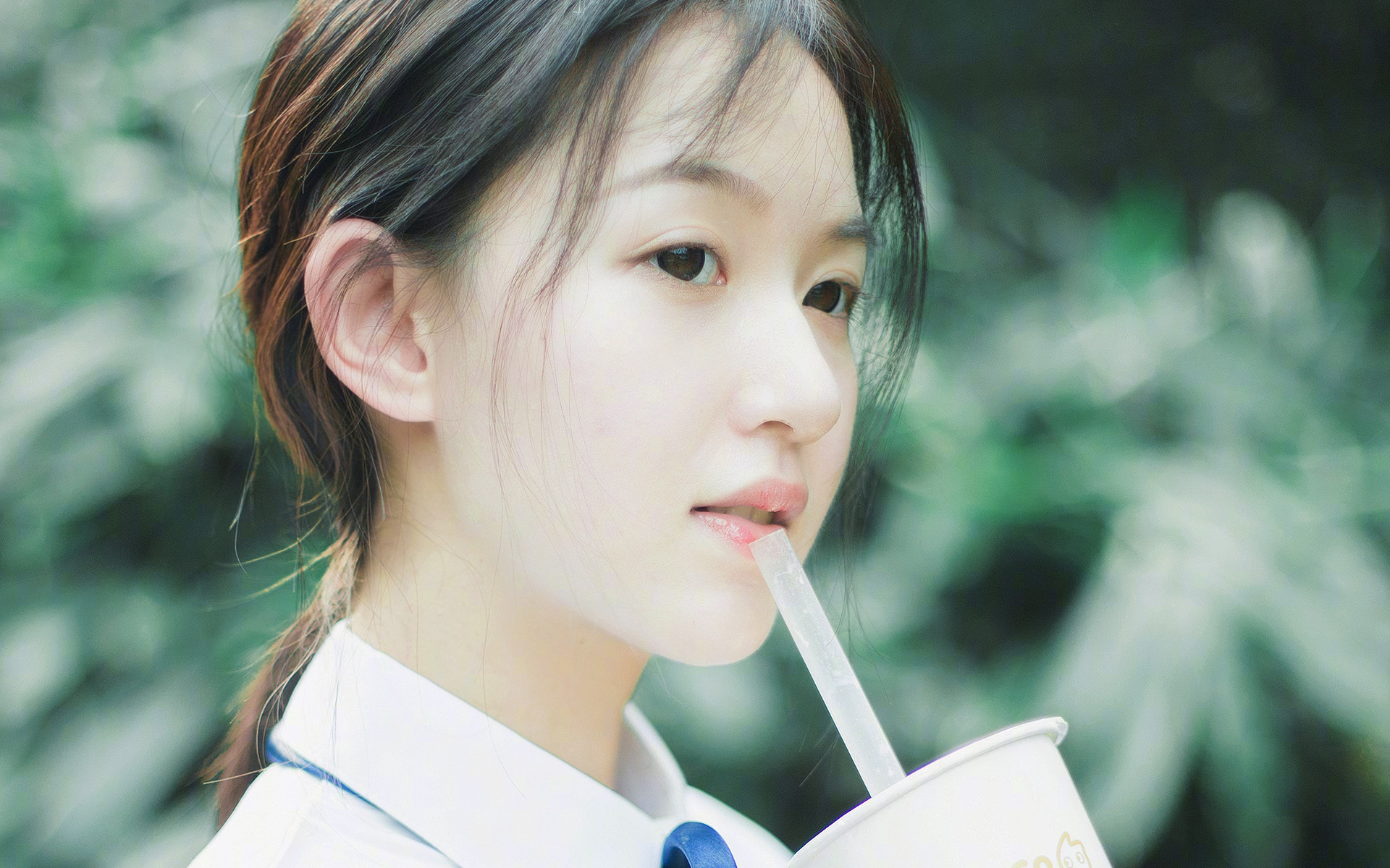 从黄蜂碾压广厦，到2026世界杯的接管者，一场跨越时空的篮球启示录