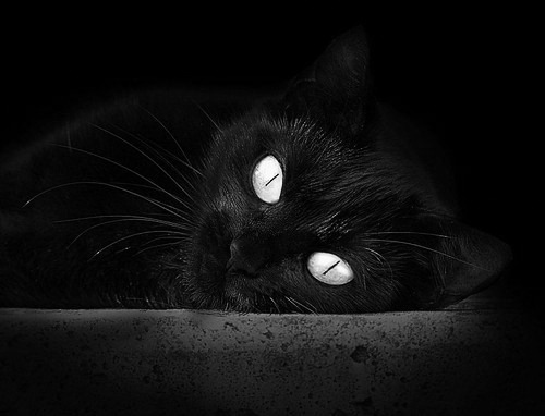 暴雨、斗牛士与里程碑，奥亚尔萨瓦尔击碎苏格兰的铁幕