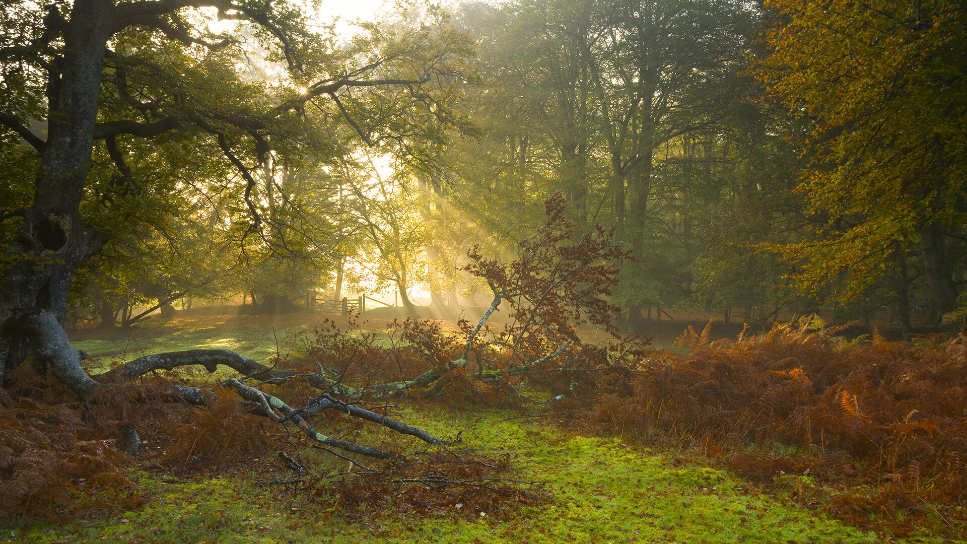 对话交锋，当比利亚雷亚尔黄潮遇上卡塔尔金湾，马丁内利的硬仗音符