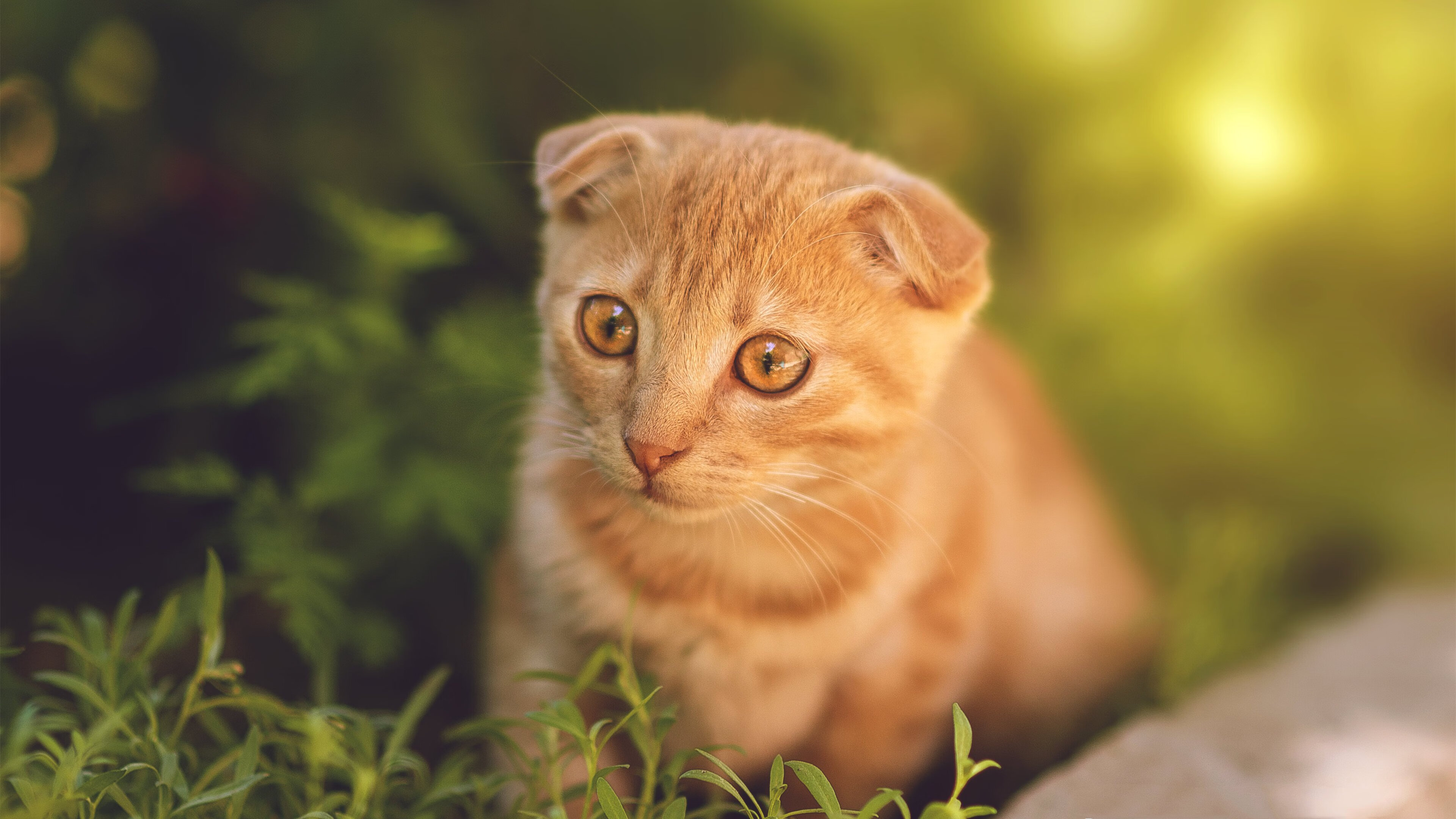 独步天王！哈登天神下凡，只手遮天终结热火