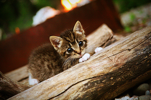 长夜里的孤星,极限运动中的唯一性神话