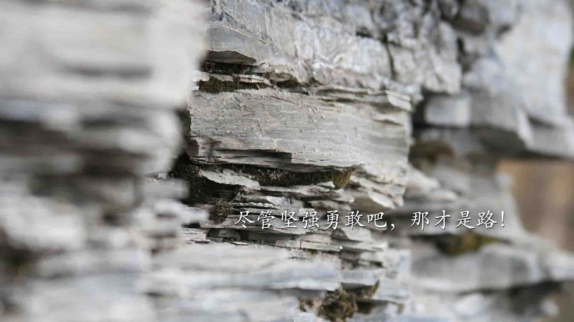 夜空下唯一的新星，班凯罗抢七之战撕裂苍穹