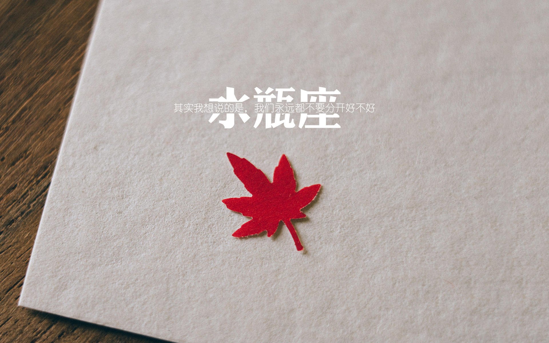 绿茵孤勇者,那场改写命运的关键战,厄瓜多尔如何在绝境中险胜葡萄牙