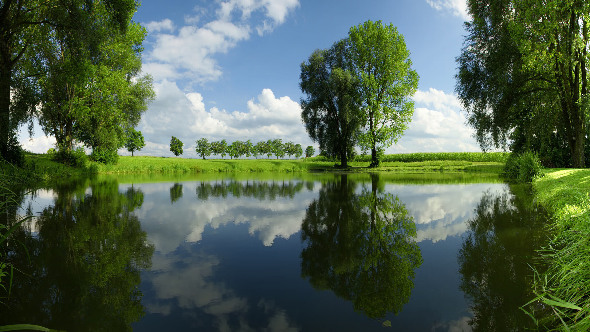 在纽约的暴雨中,梅西用双脚改写时间—2026世界杯F组美国VS瑞士侧记